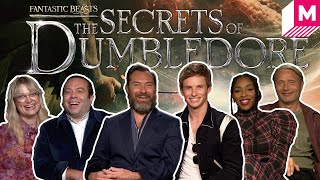 The Secrets of Dumbledore Cast Hilariously Renamed Their Fantastic Beasts [upl. by Junia53]