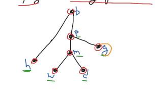 A topological sorting of a poset [upl. by Arabele714]