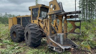 Tigercat 720G Feller Buncher Clear Cutting🌲 [upl. by Nivrae682]