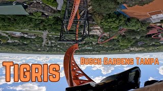 Tigris at Busch Gardens Tampa GoPro 4K [upl. by Kalindi]