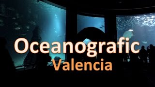 Oceanografic de Valencia  2017 [upl. by Aicenra]