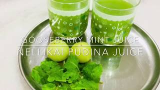 Gooseberry Mint Juice  Nellikai Pudina Juice [upl. by Claresta]