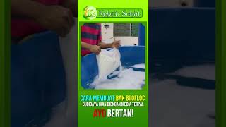 How to Make a Biofloc Tank for Fish Cultivation using Tarpaulin Tank Media [upl. by Jueta]