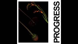 IDLES  PROGRESS Official Audio [upl. by Joash]