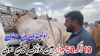 Mandra Mandi 2024 latest update ll big deal ll domail mandi tahli adda ll part 2 ll Jamil tv ll [upl. by Ahsietal]