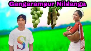 Tungari upare ana tetari jaer debo Nagpuri song 2021 [upl. by Primrosa591]