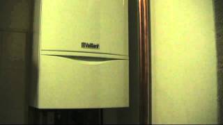 New Vaillant Ecotec plus boiler producing loud clicking noise [upl. by Ellessig432]