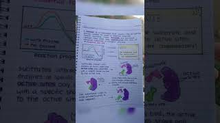 Enzymes class 11 biology [upl. by Ytsenoh]