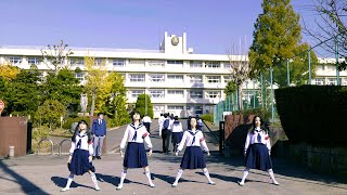 ATARASHII GAKKO  Seishun Academy 101 Come To School With Us [upl. by Gaylor912]