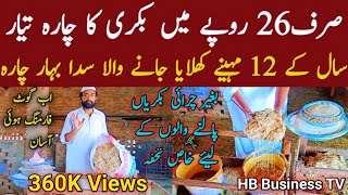 Bakri Ka Charah  Goat fodder  best goat food  بکری کا چارہ  Sada bahar chara  HB Business TV [upl. by Hamlet]