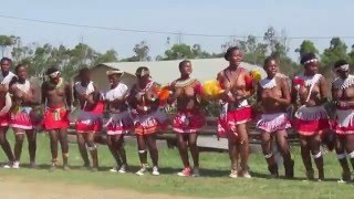 Zulu maidens from KwaSanguye dancing during Umkhosi Woswela [upl. by Sidwell]