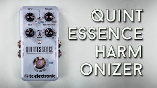 TC Quintessence Review  Intelligent Harmonizing for under 200 bucks [upl. by Princess832]