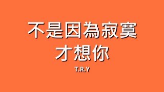 TRY  不是因為寂寞才想你【歌詞】 [upl. by Issy]