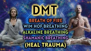 HEAL TRAUMA Anxiety Relieving Breathing Exercises  DMT Breathing 3 Guided Rounds [upl. by Ridglea]