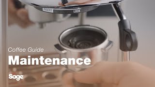 The Bambino® Plus  How to perform a clear water backflush in five steps  Sage Appliances UK [upl. by Wadlinger940]