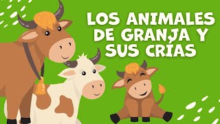 Los animales de granja y sus crías para niños  Familia de animales  Bebés de los Animales Granja [upl. by Einneg]