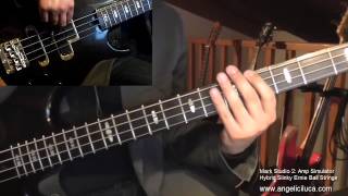 Salirò  Daniele Silvestri  Bass Cover Ita [upl. by Nawuj]