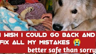 Eph 35 My dog Parvo recovery updates Importance of vaccination💉  good newscutting fire wood🤗🎉 [upl. by Ttemme435]