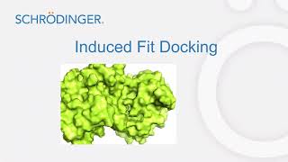 Demonstration5 Induced fit docking and Covalent docking [upl. by Gurl]