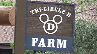 Magic Kingdom and TriCircle D Ranch [upl. by Alhak401]