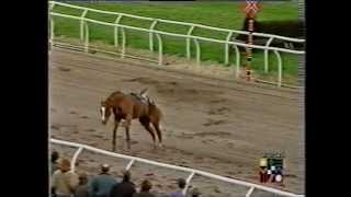 Scary Incident at Southwell Racecourse [upl. by Ahsinek]