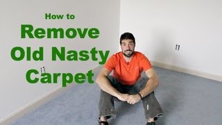 How to Remove Old Nasty Carpet DIY [upl. by Brote760]