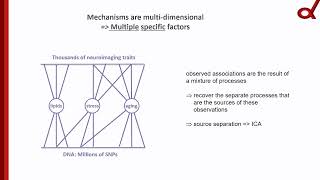 OHBM 2024  Symposium  Emma Sprooten  Principal and Independent Genomic Components of Brain Str… [upl. by Sibeal822]