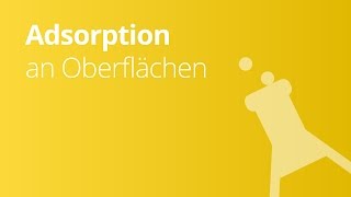 Die Adsorption an Oberflächen  Chemie  Experimentieren und Auswerten von Experimenten [upl. by Giselbert]