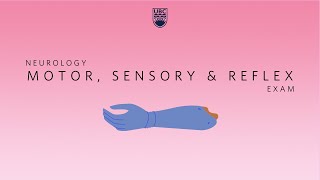 Neurology Clinical Skills  Motor Sensory amp Reflex Neurological Exam neurology ubcmedicine [upl. by Etnohc650]