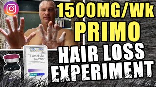 1500 MG Per Week Primobolan Hair Loss Experiment [upl. by Eldwun]