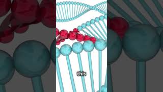 What is Ornithine Transcarbamylase Deficiency [upl. by Ennaerb]