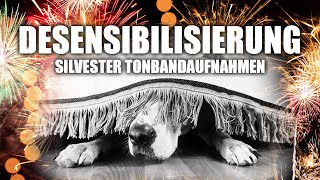 Silvester Training für Hunde ► Desensibilisierung von Geräuschen ► Tonband Feuerwerk Hundetraining [upl. by Monty]