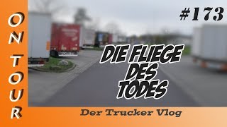 Die Fliege des Todes  Vlog 173 [upl. by Russell]