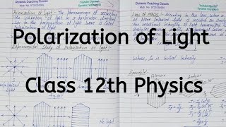 Polarization of Light Chapter 10 Wave Optics Class 12 Physics [upl. by Hiroko]