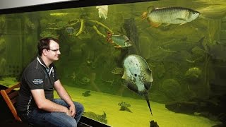 Inhalt von 500 Badewannen Riesiges privates Aquarium in Niestetal [upl. by Ybrik]