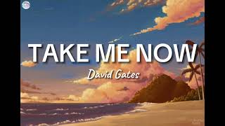 Take Me Now  David Gates   Lyrics [upl. by Oznohpla]