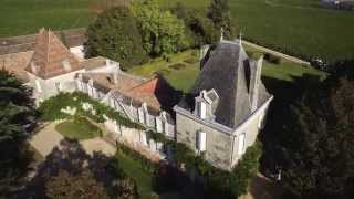 Vendanges 2015 au VIEUX CHATEAU CERTAN [upl. by Prasad428]