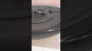 JBL Clip waterproof test [upl. by Alik12]