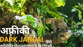 The dark jangal  हिंदी डॉक्यूमेंट्री  Africa wildlife Hindi documentry [upl. by Schlicher691]