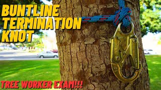 Arborist Explains How to Tie a Buntline Termination Knot [upl. by Eadahc]