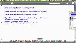 Hormonal regulation of bone growth and remodeling [upl. by Aroel]