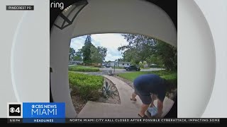 Pinecrest Police searching for porch pirate caught on camera [upl. by Stanhope]