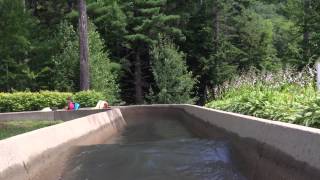 Bamboo Chutes  Story Land Glen NH summer 2013  flume ride [upl. by Nnairb848]