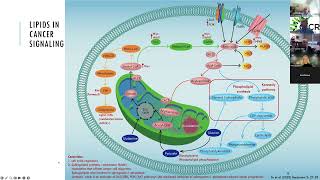 OICR Mondays Lipidomics in Cancer Research [upl. by Aiciles795]