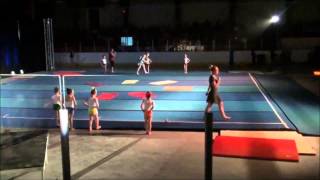 Spectacle gymnastique 2015 [upl. by Mizuki978]