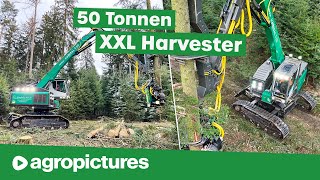 Holzernte XXL – Größter Harvester der Welt  IMPEX Hannibal T50 bei Vieghofer Holz  Forst Doku [upl. by Georgine988]