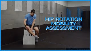 Hip Rotation Mobility Assessments [upl. by Esnofla808]