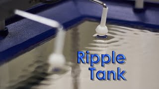 Ripple Tank showing superposition constructive and destructive interference [upl. by Phelgon]