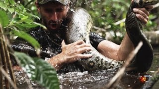 Eaten Alive Sneak Peek  Sun Dec 7 98c on Discovery [upl. by Engapmahc]