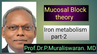 Iron metabolism part2Muralis Simplified Biochemistry [upl. by Skipp]